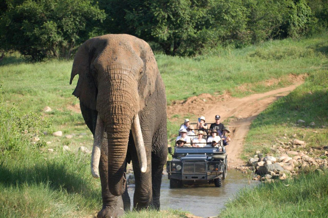 Karongwe Portfolio - Kuname Lodge Karongwe Game Reserve Екстер'єр фото