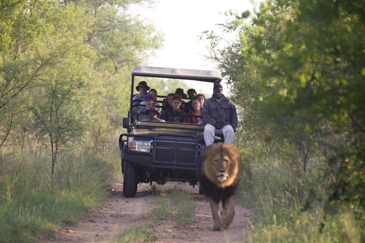 Karongwe Portfolio - Kuname Lodge Karongwe Game Reserve Екстер'єр фото