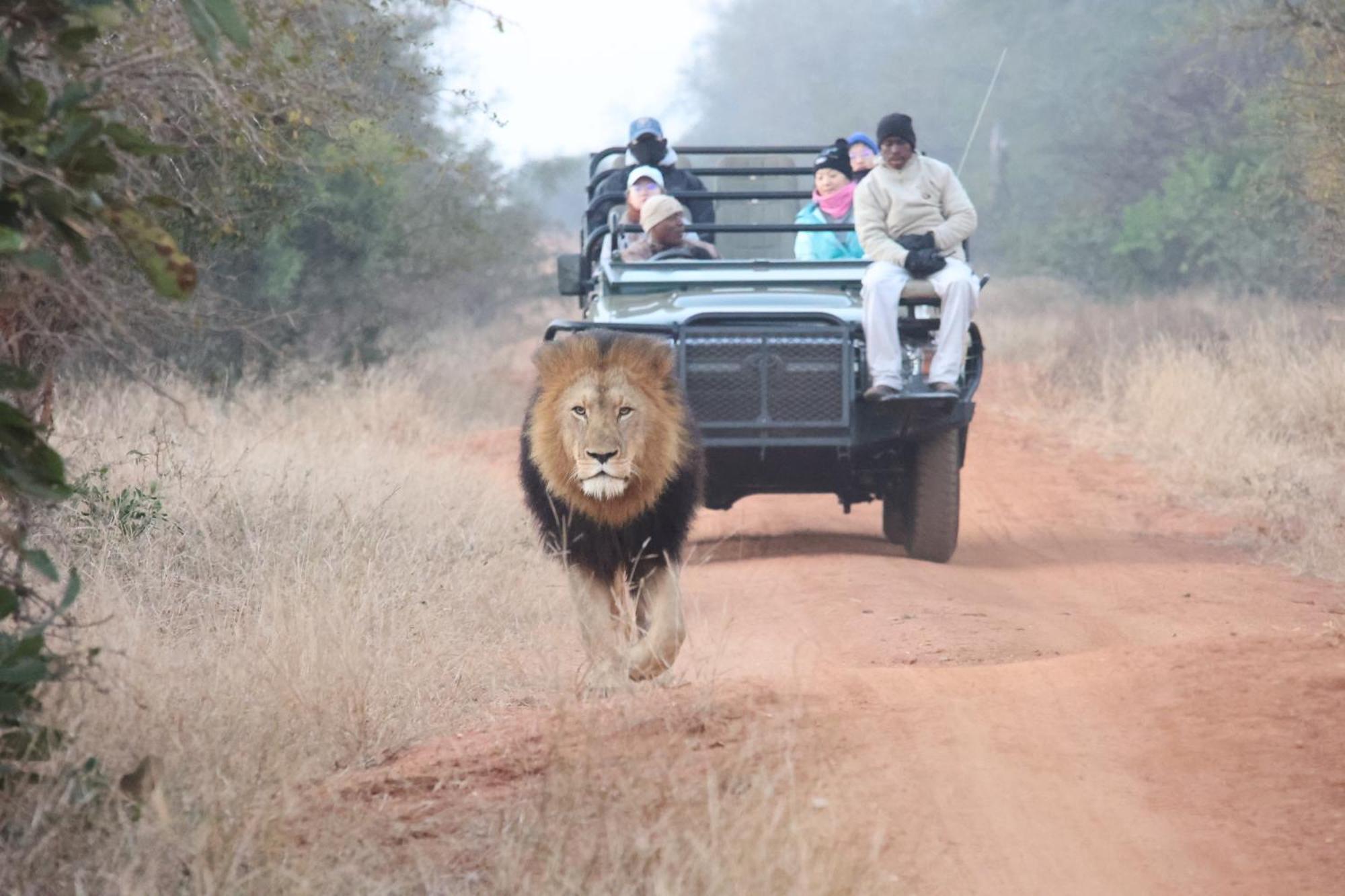 Karongwe Portfolio - Kuname Lodge Karongwe Game Reserve Екстер'єр фото